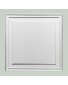 Orac Decor D503 Pannello Per Porta Decoro Arredo Duropolymer® Polistirene Alta Densità Bianco Resistente Agli Urti Calore Facile Da Installare Verniciabile Pretrattato Primer Acrilico Impermeabile Per Interno ed Esterno Ambienti Umidi Misura 55x55x1,7 cm
